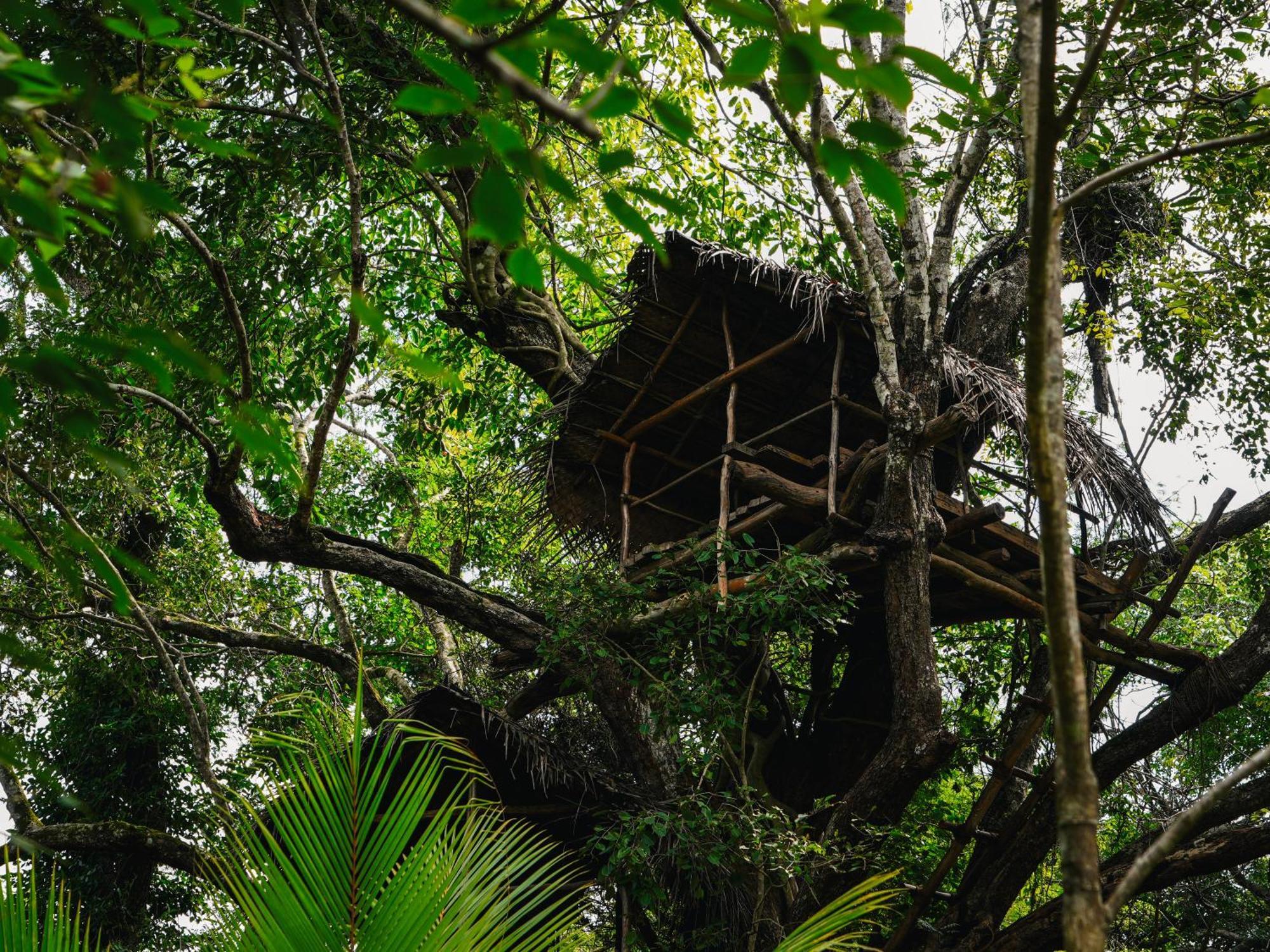 The Other Corner Habarana Ngoại thất bức ảnh